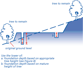 Levels from which foundation depths are measured where trees or hedgerows are to remain